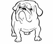Coloriage et dessins gratuit Chien Bulldog mignon à imprimer