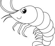 Coloriage Crevette mignonne