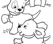 Coloriage Deux chiots mignons en jouant