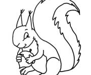Coloriage et dessins gratuit &Eacute;cureuil mignon en mangeant à imprimer