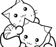 Coloriage Fr&egrave;re chats mignons