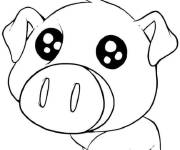 Coloriage Gentil cochon au regard trop mignon
