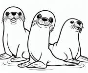 Coloriage Groupe de phoques mignons