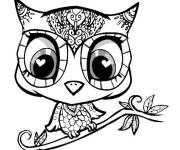Coloriage Hibou mignon au d&eacute;coration zen