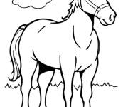 Coloriage Illustration d'un cheval adorable cp