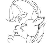 Coloriage Lapin adorable se repose sur une fleur