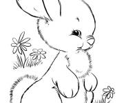 Coloriage Lapin moelleux trop mignon