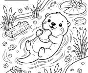 Coloriage Loutre mignon qui s'amuse