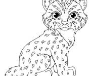 Coloriage Lynx mignon