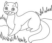 Coloriage Mangouste trop mignonne