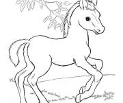 Coloriage Petit cheval gentil