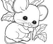 Coloriage Petit hamster calin de fleur
