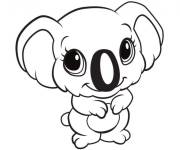 Coloriage Petit Koala au regard trop mignon