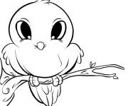Coloriage Petit oiseau assis sur une branche
