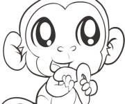 Coloriage Petit singe mignon