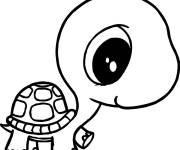 Coloriage Petit tortue trop mignon