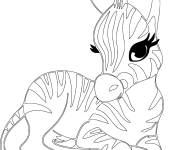 Coloriage Petit Z&egrave;bre ray&eacute;
