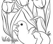 Coloriage Poussin sortant de l'oeuf