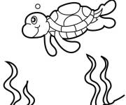 Coloriage Tortue de mer mignon