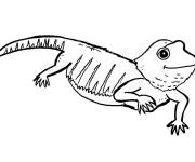 Coloriage Tout petit l&eacute;zard mignon