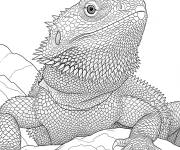 Coloriage Agama barbu r&eacute;aliste