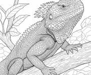 Coloriage Agame r&eacute;aliste