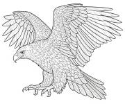 Coloriage Aigle australien r&eacute;aliste