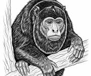 Coloriage Animal Hurleur et r&eacute;aliste