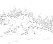 Coloriage Animal loutre europ&eacute;enne r&eacute;aliste