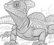 Coloriage Basilic vert r&eacute;aliste