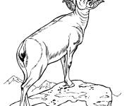 Coloriage et dessins gratuit B&eacute;lier sur falaise r&eacute;aliste à imprimer