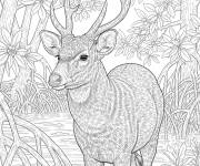 Coloriage Biche des pal&eacute;tuviers r&eacute;aliste