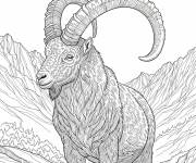 Coloriage Bouquetin des Alpes r&eacute;aliste