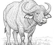 Coloriage Buffle d&rsquo;Afrique r&eacute;aliste