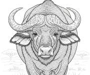Coloriage Buffle noir des savanes r&eacute;aliste
