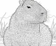 Coloriage Capybara r&eacute;aliste