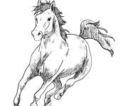 Coloriage Cheval r&eacute;aliste facile
