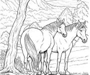 Coloriage chevaux sauvages r&eacute;aliste en noir et blanc