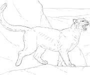 Coloriage Cougar effrayant r&eacute;aliste