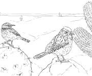 Coloriage Deux troglodytes r&eacute;aliste