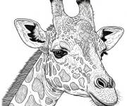 Coloriage Girafe R&eacute;aliste