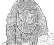 Coloriage Hurleur noir r&eacute;aliste