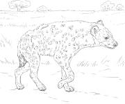 Coloriage Hy&egrave;ne tachet&eacute;e r&eacute;aliste