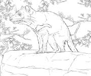 Coloriage Illustration Diable de Tasmanie