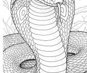 Coloriage Le Cobra royal r&eacute;aliste