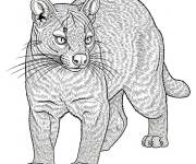 Coloriage Le Fossa r&eacute;aliste
