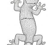 Coloriage Le Gecko des habitations r&eacute;aliste