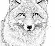 Coloriage Le Goupil r&eacute;aliste