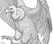 Coloriage Le Vautour griffon r&eacute;aliste