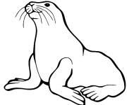 Coloriage et dessins gratuit Lion de mer r&eacute;aliste &agrave; colori à imprimer